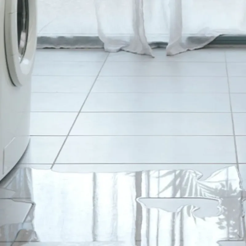 Appliance Leak Cleanup in Saint Pauls, NC